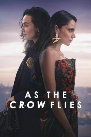  Les Ailes de l’Ambition - Saison 2 affiche 