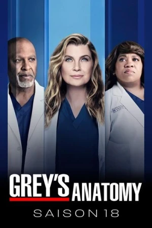  Grey's Anatomy - Saison 18 affiche 