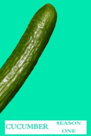  Cucumber - Saison 1 affiche 